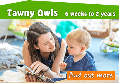 Toftwood Tawny Owls