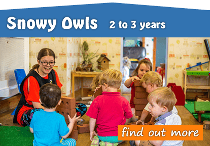 Toftwood Snowy Owls