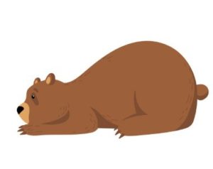 Funny Grizzly Bears Flat Icon Set