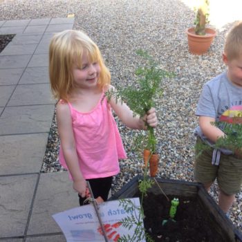 Growing Our Own Carrots At Little Owls Baby Nursery Swaffham (1)