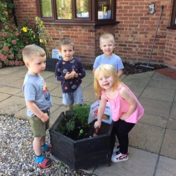 Growing Our Own Carrots At Little Owls Baby Nursery Swaffham (3)
