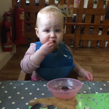 Sweet And Sour Tastes At Little Owls Baby Nursery Norwich (8)