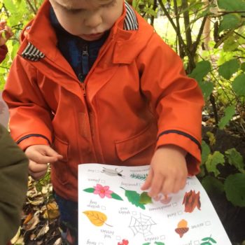 Learning About Autumn At Little Owls Noroflk Child Care (3)