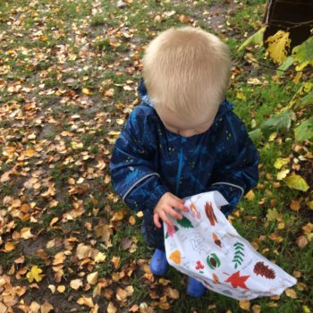 Learning About Autumn At Little Owls Noroflk Child Care (4)