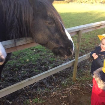 Visit To The Horses With Little Owls Day Nursery (6)
