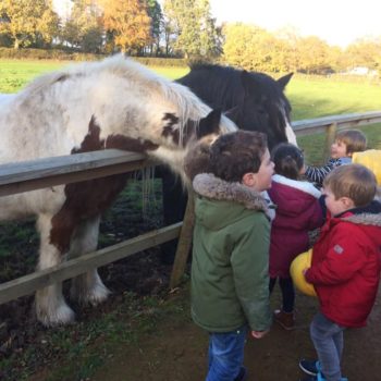 Visit To The Horses With Little Owls Day Nursery (8)