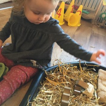 Sensory Farm At Little Owls Baby Care In Norfolk (10)