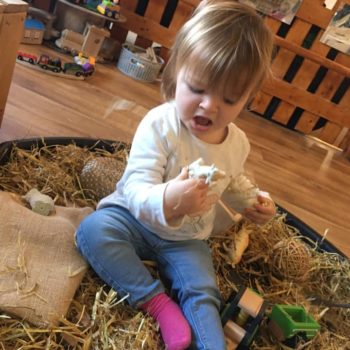Sensory Farm At Little Owls Baby Care In Norfolk (7)