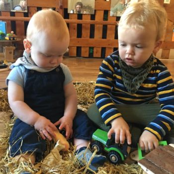 Sensory Farm At Little Owls Baby Care In Norfolk (8)