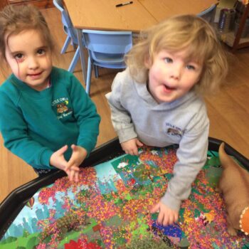 Dinosaur Tray At Little Owls Playgroup In Norflk (3)