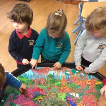 Dinosaur Tray At Little Owls Playgroup In Norflk (4)