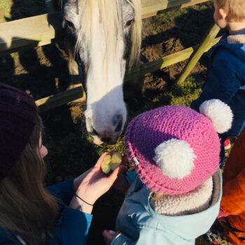 A Visit To See The Horses At Little Owls Nursery Dereham (8)