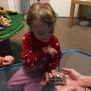 Hamster Arival At Little Owls Babycare In Dereham (1)