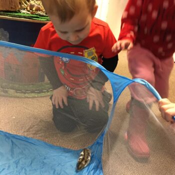 Hamster Arival At Little Owls Babycare In Dereham (9)