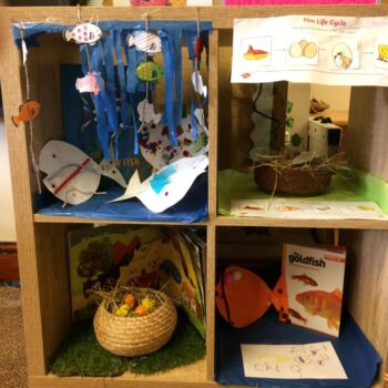 New Fish At Little Owls Child Care In Dereham (7)