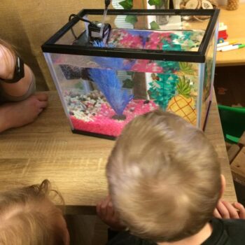 New Fish At Little Owls Child Care In Dereham (8)