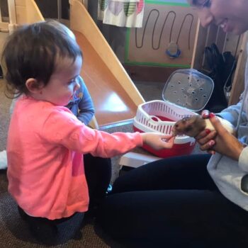 Tilly The Hamster At Little Owls Babycare Near Swaffham (3)