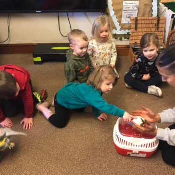 Tilly The Hamster At Little Owls Babycare Near Swaffham (8)