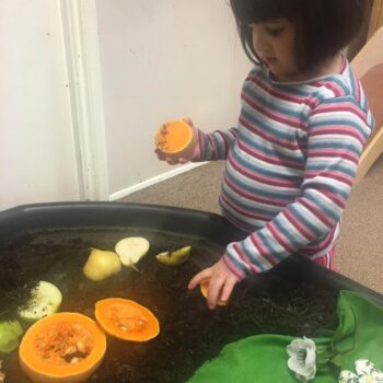 Planting Tray At Little Owls Baby Care In Norfolk (2)