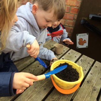 Sowing Seeds At Little Owls Childcare In Dereham (3)