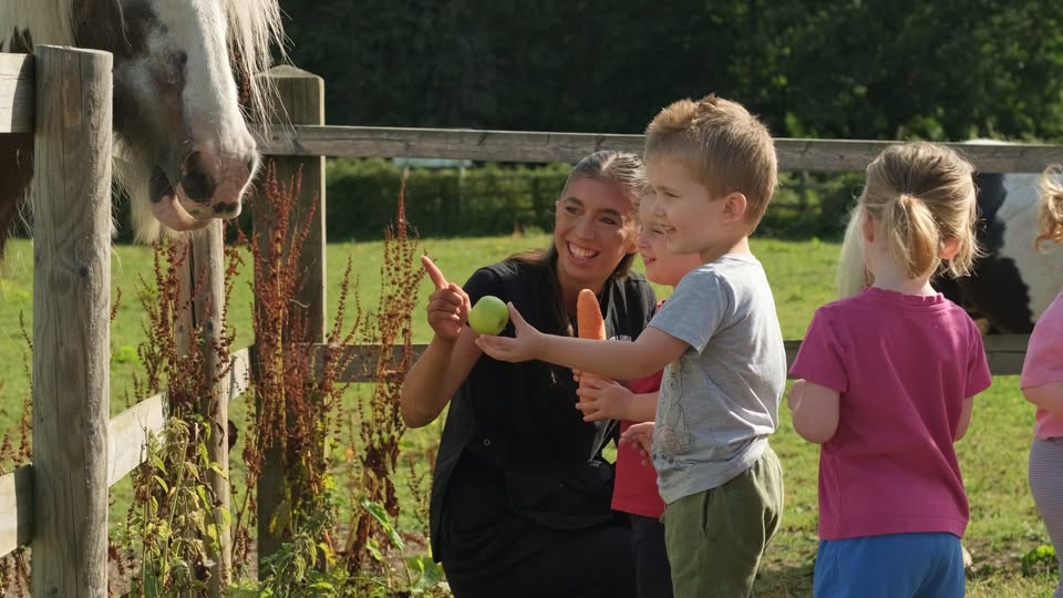 A group of children and a woman smile as they feed a horse over a wooden fence. The children hold a green apple and a carrot, creating a joyful and engaging atmosphere in a lush, sunny field.