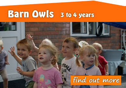Toftwood Barn Owls