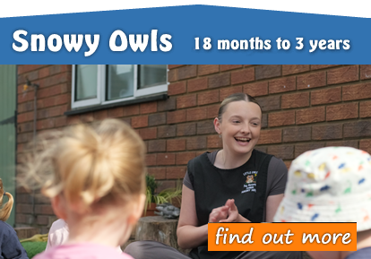 Snowyowl