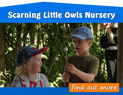 Scarning Little Owls