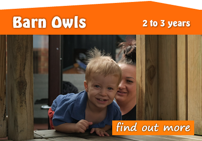 Toftwood Barn Owls