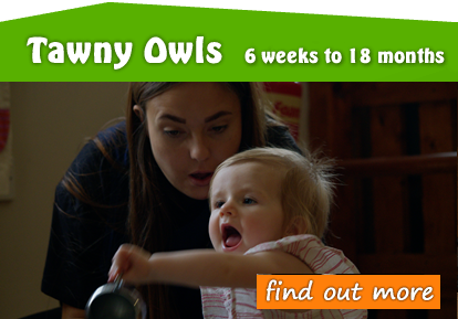Toftwood Tawny Owls