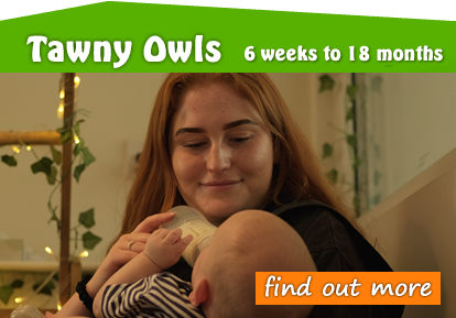 Toftwood Tawny Owls 1