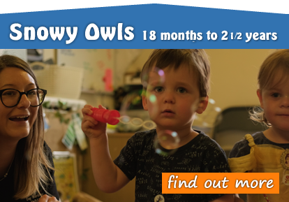 Towtwood Snowy Owls